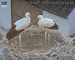 Capi_Dubne_20260729_201004.jpg