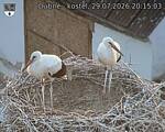 Capi_Dubne_20260729_201503.jpg