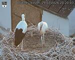 Capi_Dubne_20260729_202003.jpg