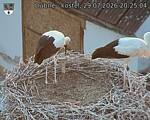 Capi_Dubne_20260729_202504.jpg