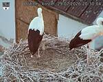 Capi_Dubne_20260729_203004.jpg