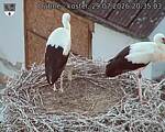 Capi_Dubne_20260729_203503.jpg
