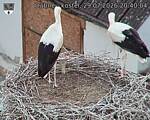 Capi_Dubne_20260729_204004.jpg