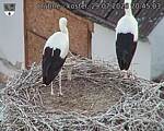Capi_Dubne_20260729_204503.jpg