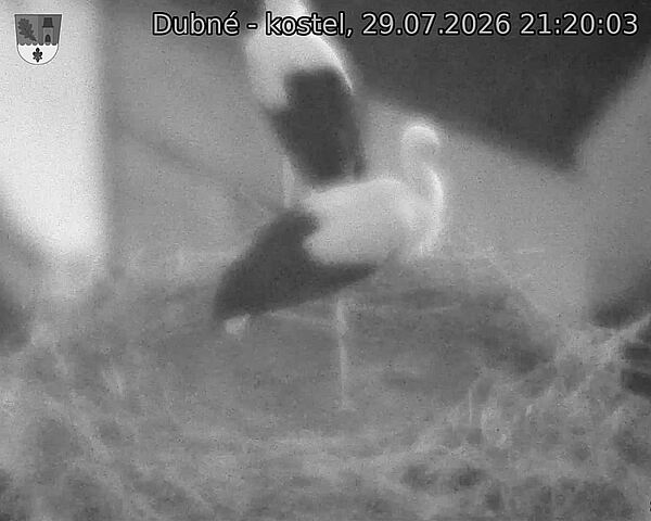 preload
