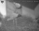 Capi_Dubne_20260729_213003.jpg