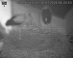Capi_Dubne_20260730_002003.jpg