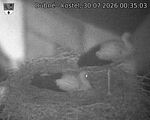 Capi_Dubne_20260730_003503.jpg