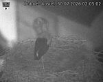 Capi_Dubne_20260730_020502.jpg
