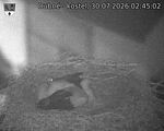 Capi_Dubne_20260730_024502.jpg