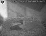 Capi_Dubne_20260730_032502.jpg