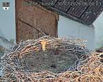 Capi_Dubne_20260730_060003.jpg
