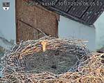 Capi_Dubne_20260730_060503.jpg