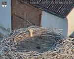 Capi_Dubne_20260730_062004.jpg