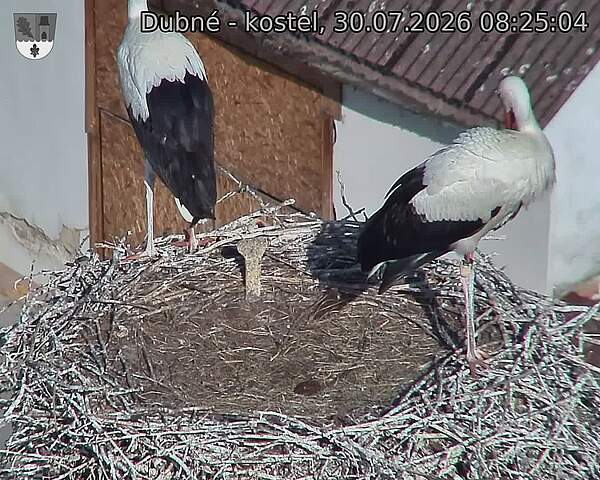 preload