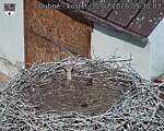 Capi_Dubne_20260730_093003.jpg