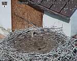 Capi_Dubne_20260730_101503.jpg