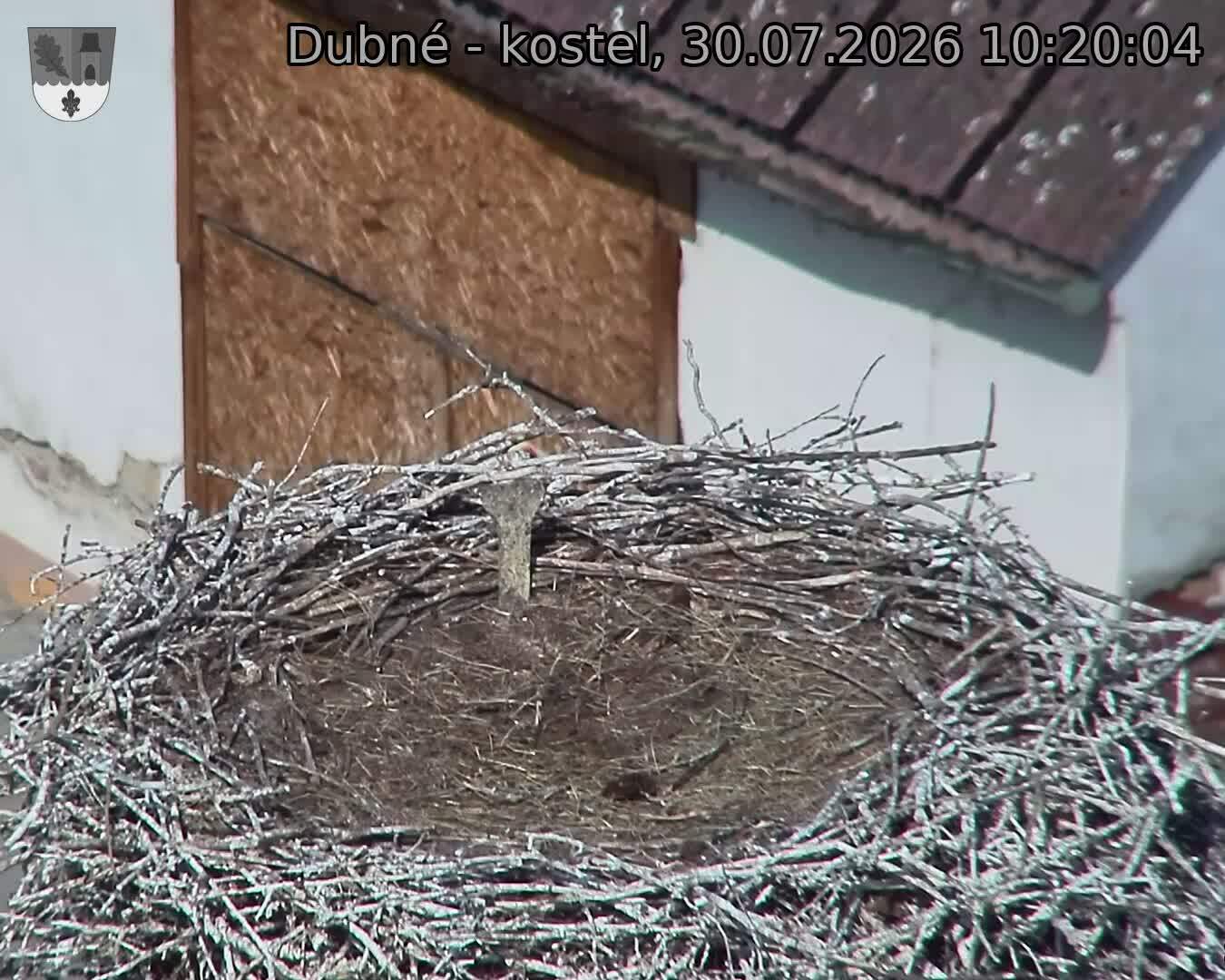 Capi_Dubne_20260730_102004.jpg (1350&nbsp;x&nbsp;1080)
