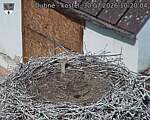 Capi_Dubne_20260730_102004.jpg