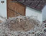 Capi_Dubne_20260730_103003.jpg
