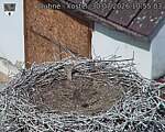 Capi_Dubne_20260730_105503.jpg