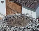 Capi_Dubne_20260730_110503.jpg