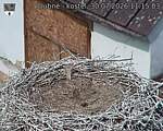 Capi_Dubne_20260730_111503.jpg