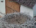 Capi_Dubne_20260730_112002.jpg