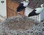 Capi_Dubne_20260730_115503.jpg