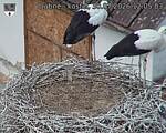 Capi_Dubne_20260730_120503.jpg