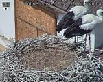 Capi_Dubne_20260730_124004.jpg