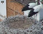 Capi_Dubne_20260730_131003.jpg