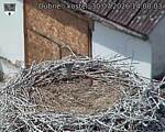 Capi_Dubne_20260730_140003.jpg
