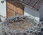 Capi_Dubne_20260730_141503.jpg