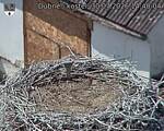 Capi_Dubne_20260730_144004.jpg