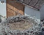 Capi_Dubne_20260730_144504.jpg
