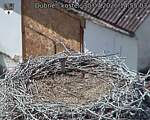 Capi_Dubne_20260730_145503.jpg