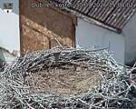 Capi_Dubne_20260730_150003.jpg