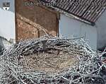 Capi_Dubne_20260730_150503.jpg