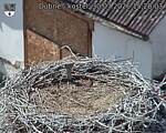 Capi_Dubne_20260730_152003.jpg