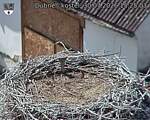 Capi_Dubne_20260730_152503.jpg