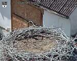 Capi_Dubne_20260730_153003.jpg