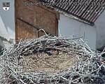 Capi_Dubne_20260730_153503.jpg