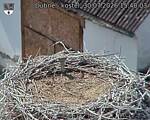 Capi_Dubne_20260730_154003.jpg