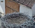 Capi_Dubne_20260730_154503.jpg