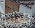 Capi_Dubne_20260730_155004.jpg