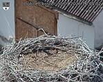 Capi_Dubne_20260730_160502.jpg