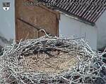 Capi_Dubne_20260730_161003.jpg