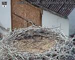 Capi_Dubne_20260730_165003.jpg