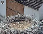 Capi_Dubne_20260730_165503.jpg